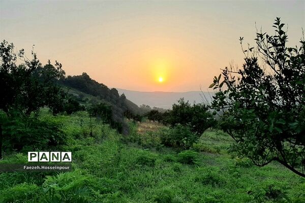 ردای سبز طبیعت در نوروز