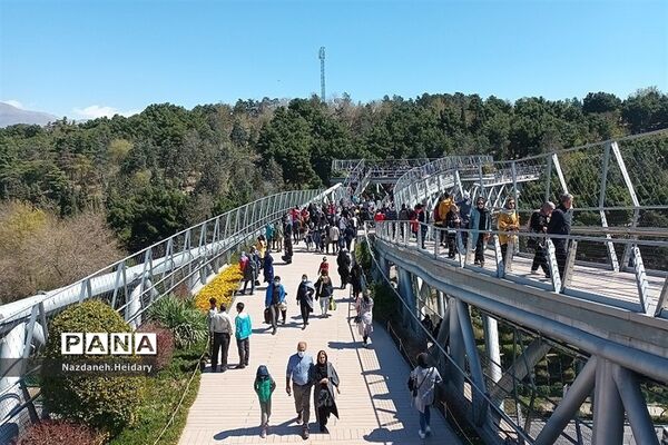 پل طبیعت، از مکان‌های دیدنی تهران