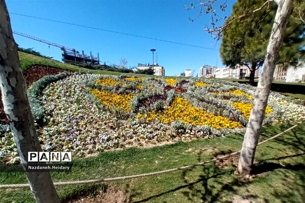پل طبیعت، از مکان‌های دیدنی تهران