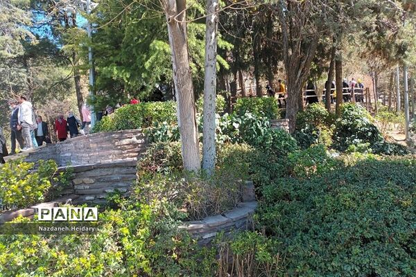 پل طبیعت، از مکان‌های دیدنی تهران