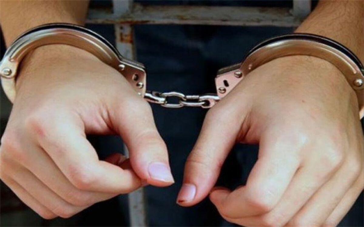 دستگیری باند سارقان حرفه‌ای با ۲۰ فقره سرقت در پردیس
