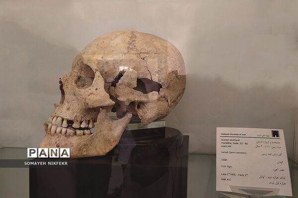 موزه ملی ایران