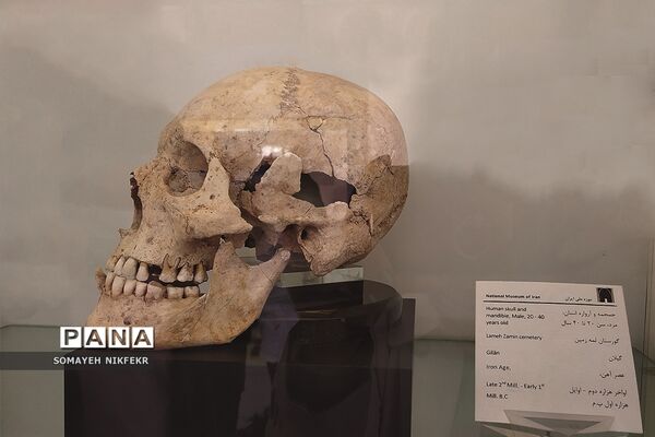 موزه ملی ایران