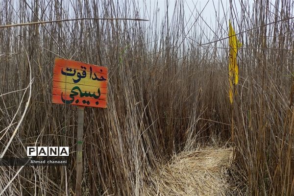 یادمان شهدای عملیات والفجر ۸