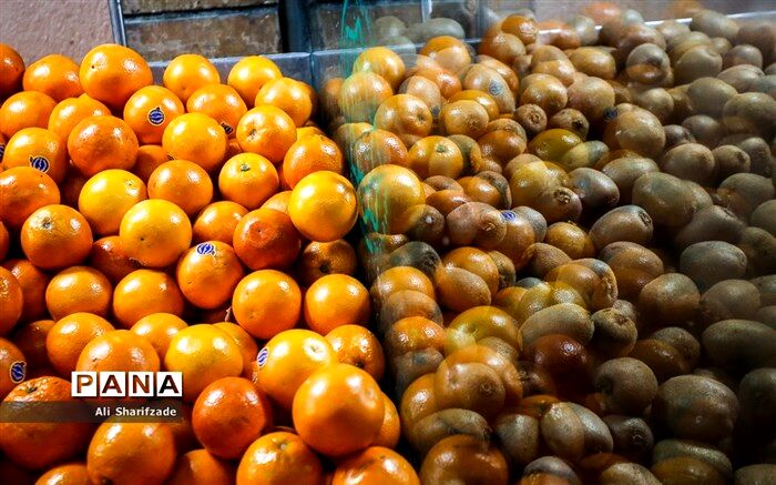 262  میدان و بازار میوه و تره‌بار برای ارائه خدمات در ماه رمضان آماده است