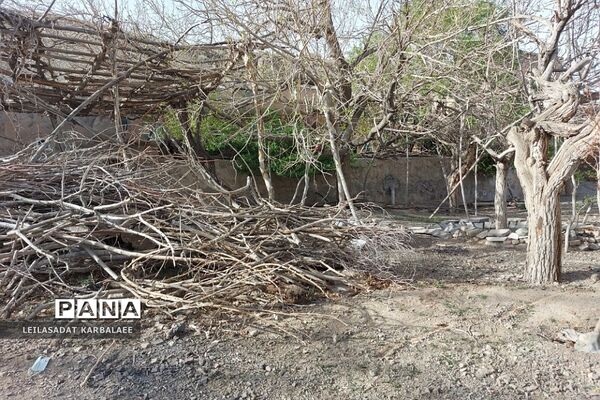 طبیعت زیبای روستاهای هومبر و دوک