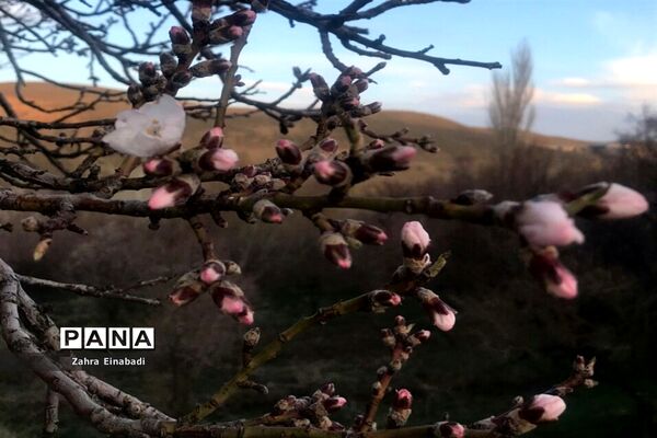 سفری  به روستای عین‌آباد