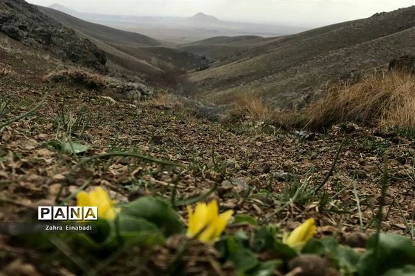 سفری  به روستای عین‌آباد