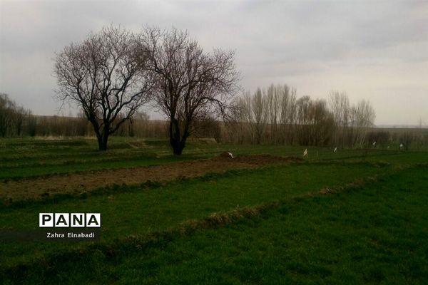 سفری  به روستای عین‌آباد