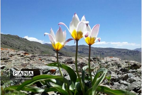 سفری  به روستای عین‌آباد