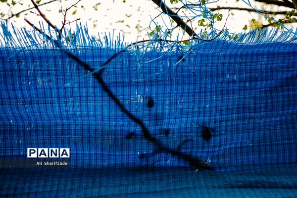 طبیعت زیبای منطقه کوهستانی البرز مرکزی