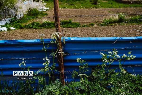 طبیعت زیبای منطقه کوهستانی البرز مرکزی