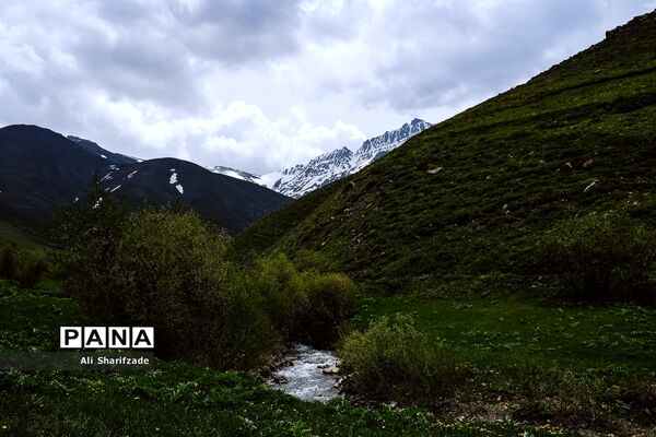 طبیعت زیبای منطقه کوهستانی البرز مرکزی