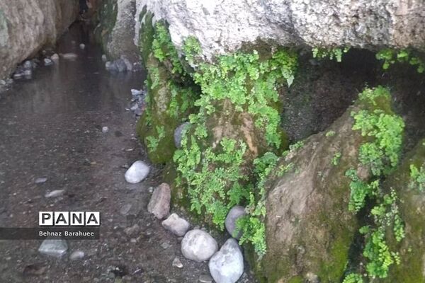غار لادیز؛ جاذبه‌ای طبیعی و جذاب در فصل بهار
