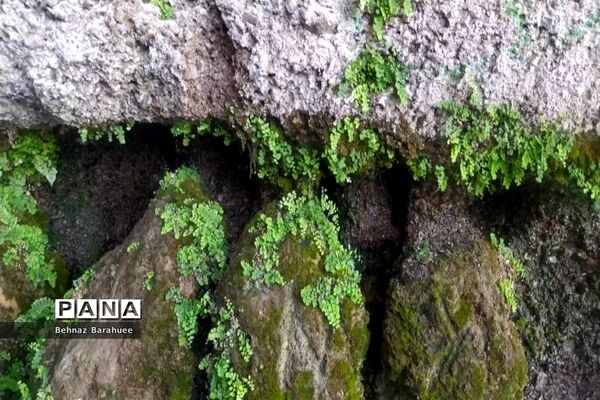 غار لادیز؛ جاذبه‌ای طبیعی و جذاب در فصل بهار
