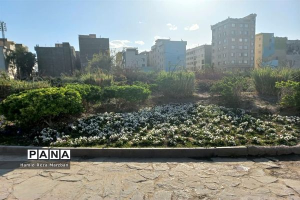 مجموعه ورزشی بوستان ولایت تهران