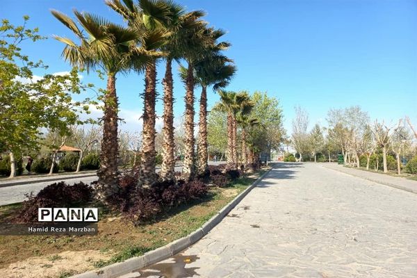 مجموعه ورزشی بوستان ولایت تهران