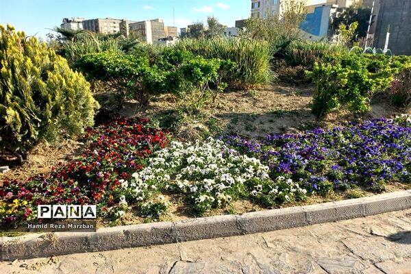 مجموعه ورزشی بوستان ولایت تهران