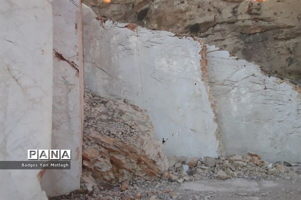 شکوفه‌های بهاری در روستای قله‌‌جوق کرمانشاه