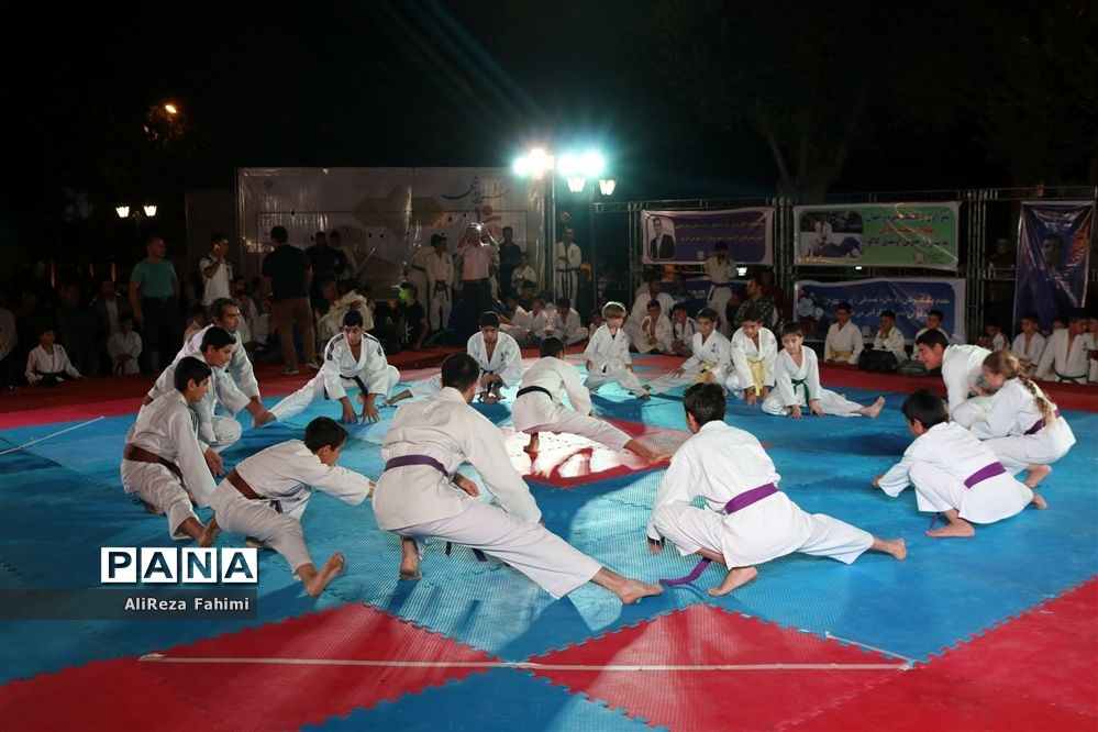 اعلام رای دادگاه بین‌المللی حکمیت ورزش درباره جودوی ایران مجددا به تعویق افتاد