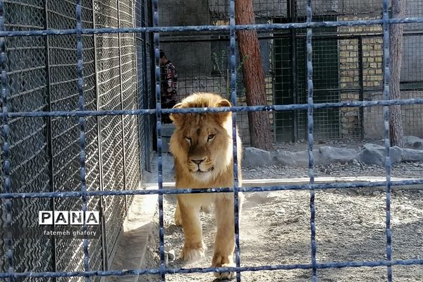 باغ وحش وکیل‌آباد در مشهد مقدس