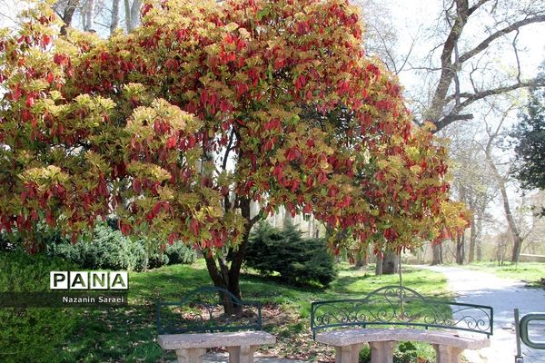 مجموعه تاریخی فرهنگی کاخ نیاوران در نوروز 1401