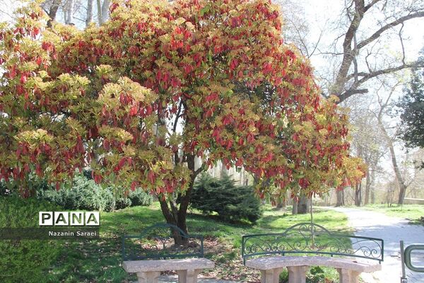 مجموعه تاریخی فرهنگی کاخ نیاوران در نوروز 1401