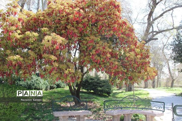 مجموعه تاریخی فرهنگی کاخ نیاوران در نوروز 1401