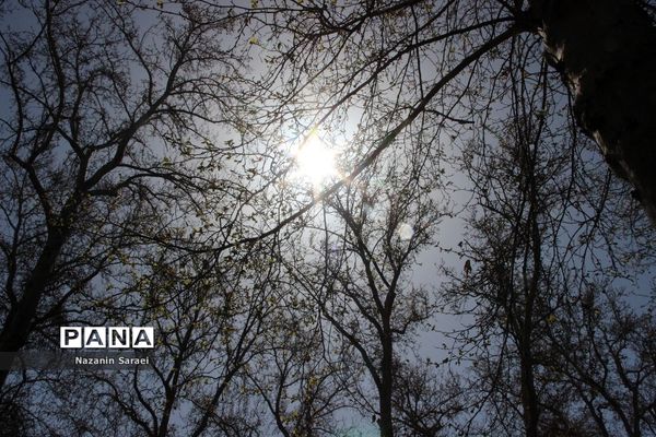 مجموعه تاریخی فرهنگی کاخ نیاوران در نوروز 1401