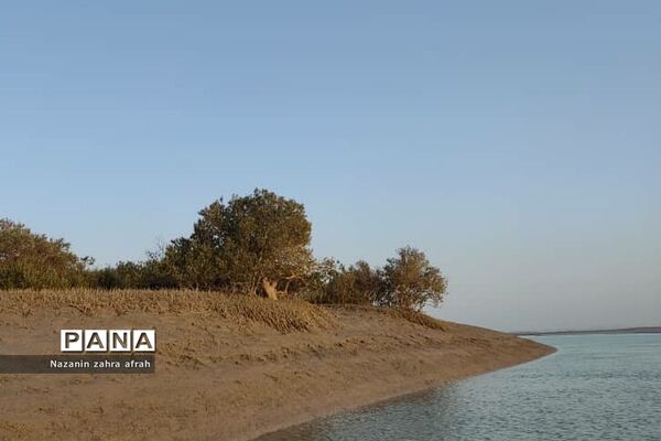 جزیره قشم در خلیج‌ فارس