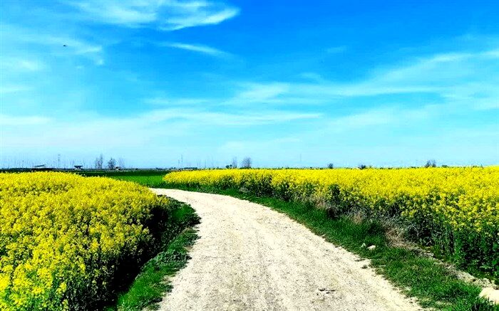 اجرای طرح «هر دانش‌آموز، یک عکاس» در دبیرستان میری قم