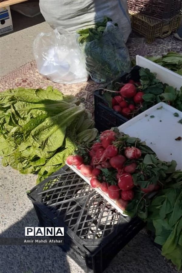 بازارچه محلی در قائم‌شهر