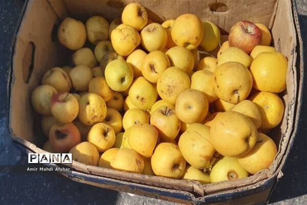 بازارچه محلی در قائم‌شهر