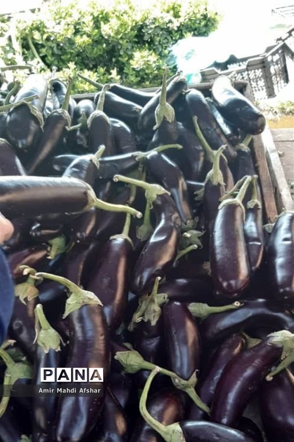 بازارچه محلی در قائم‌شهر