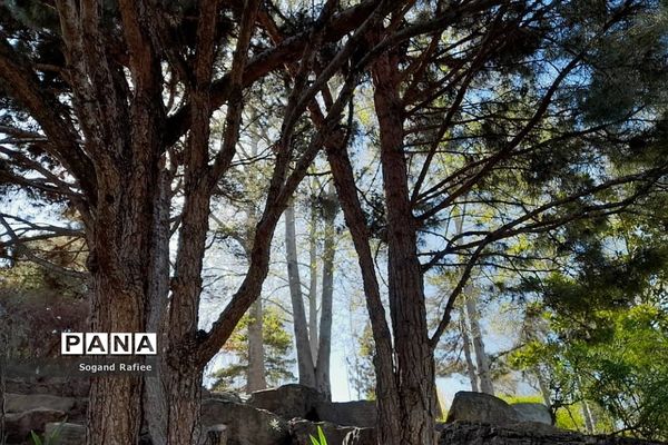 طبیعت زیبای بهاری باغ گیاه‌شناسی ملی ایران