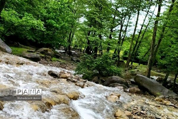لاویج؛ بهشت گمشده مازندران
