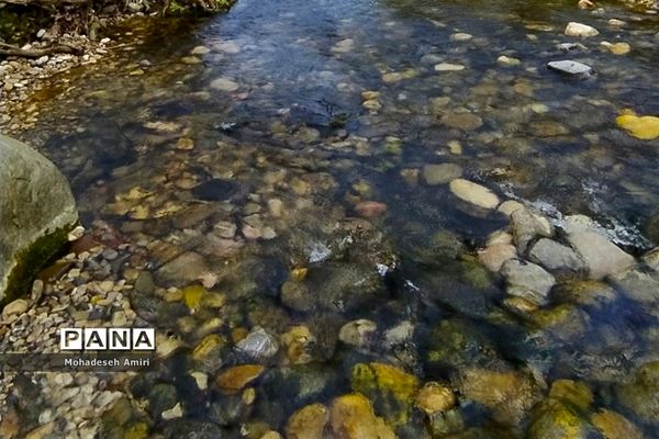 لاویج؛ بهشت گمشده مازندران