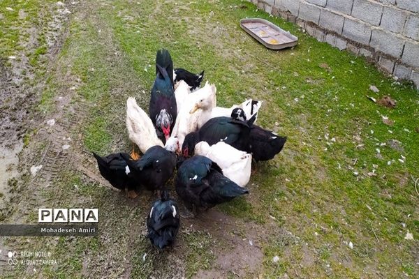 لاویج؛ بهشت گمشده مازندران