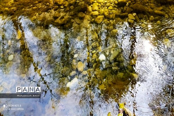 لاویج؛ بهشت گمشده مازندران