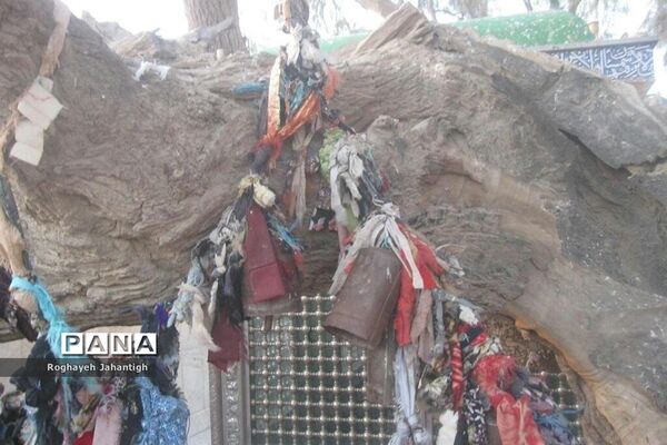 زیارتگاه باستانی بی بی دوست در سیستان