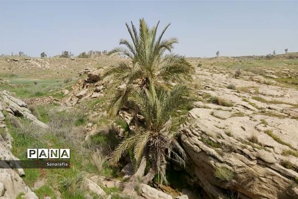 طبیعت زیبای سردشت دزفول در بهار1401