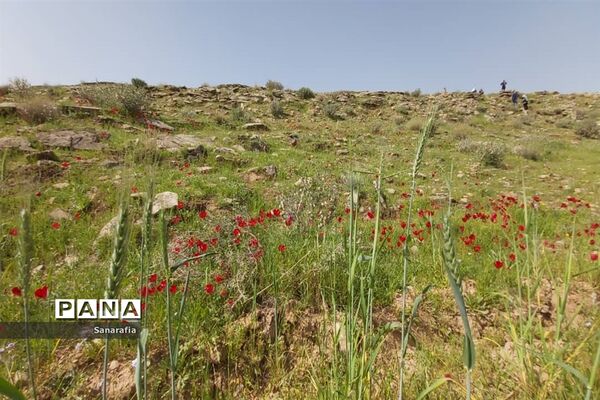 طبیعت زیبای سردشت دزفول در بهار1401