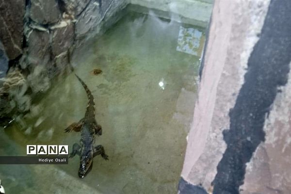 باغ وحش پارک ارم تهران