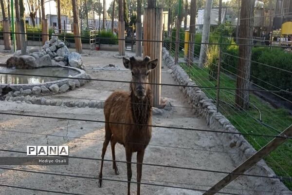 باغ وحش پارک ارم تهران