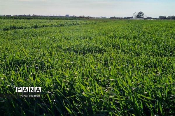 طبیعت استان مازندران در فصل بهار