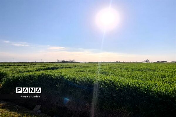 طبیعت استان مازندران در فصل بهار