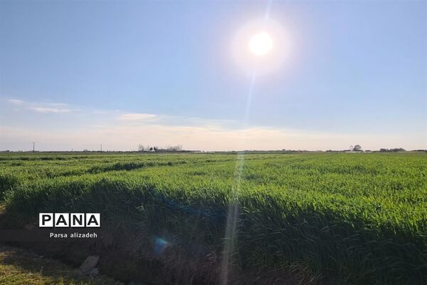 طبیعت استان مازندران در فصل بهار