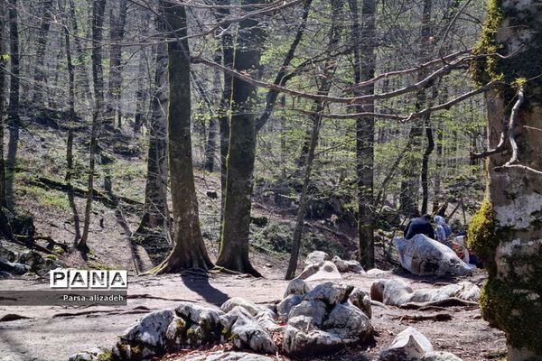 طبیعت استان مازندران در فصل بهار