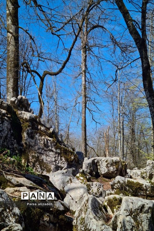 طبیعت استان مازندران در فصل بهار