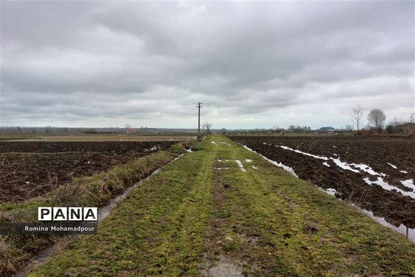 طبیعت بهاری جنگل‌های گیلان